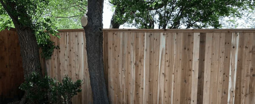 cedar-solid-board-cap-sager-fencing