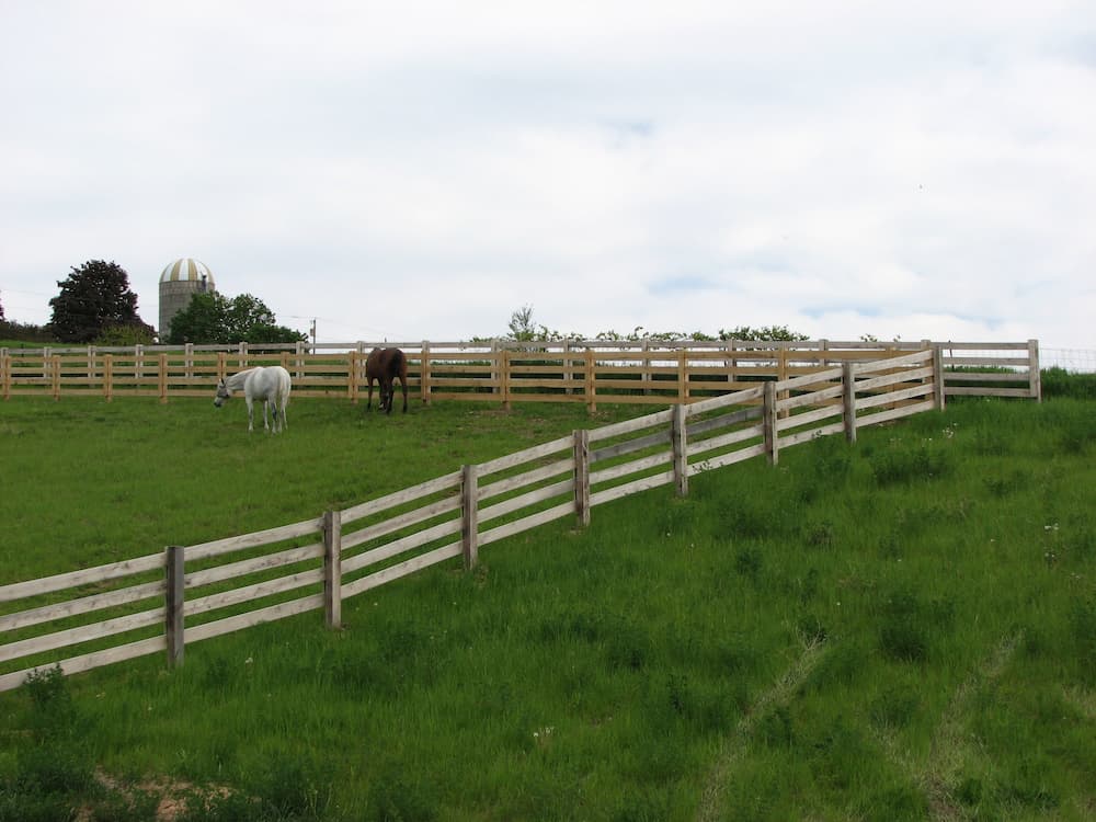 wood-board-horse-farm-agricultural-sager-fencing