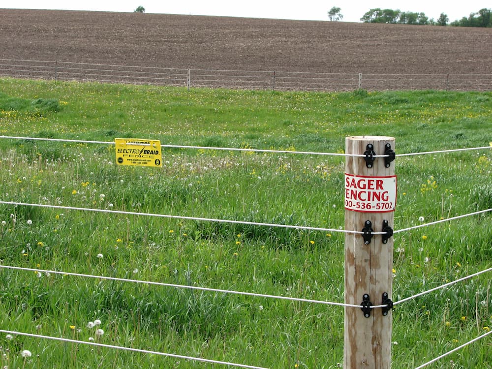 electric--horse-farm-agricultural-sager-fencing