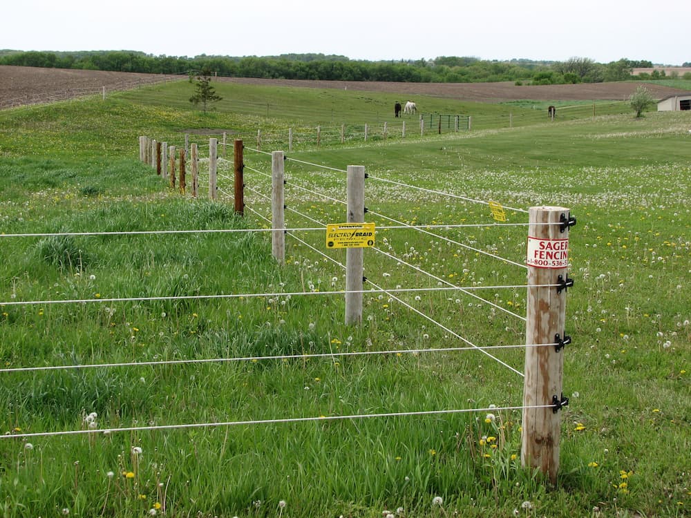 electric-horse-farm-agricultural-sager-fencing