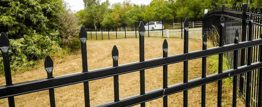 montage-warrior-ornamental-steel-sager-fencing