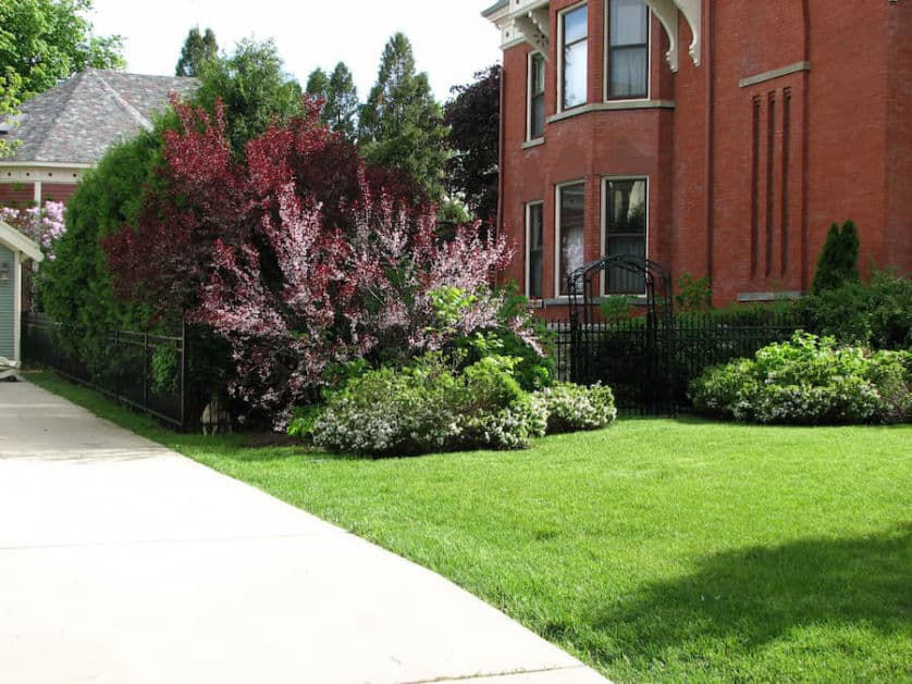 ornamental-steel-gate-sager-fencing